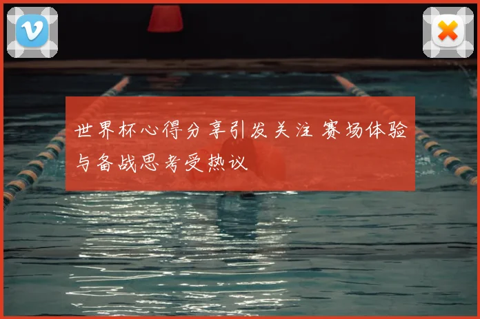 世界杯心得分享引发关注 赛场体验与备战思考受热议