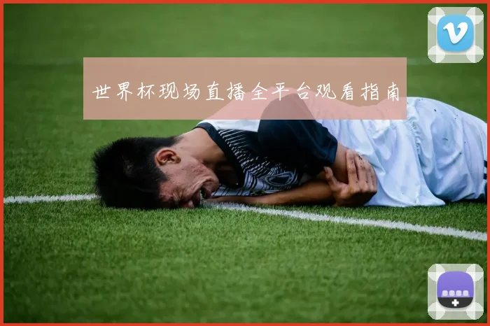 世界杯现场直播全平台观看指南