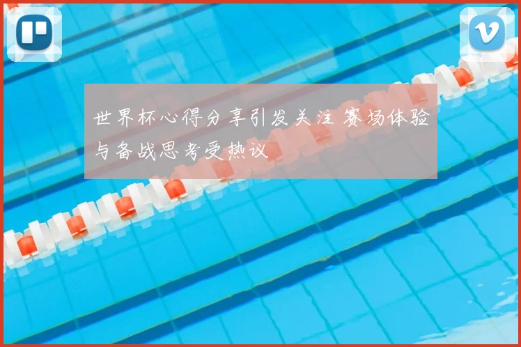 世界杯心得分享引发关注 赛场体验与备战思考受热议