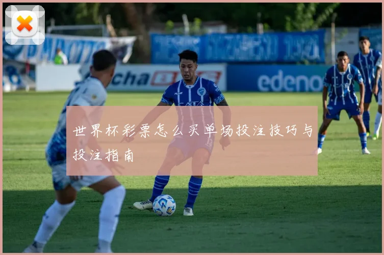 世界杯彩票怎么买单场投注技巧与投注指南