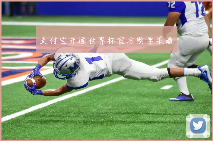 支付宝开通世界杯官方购票渠道