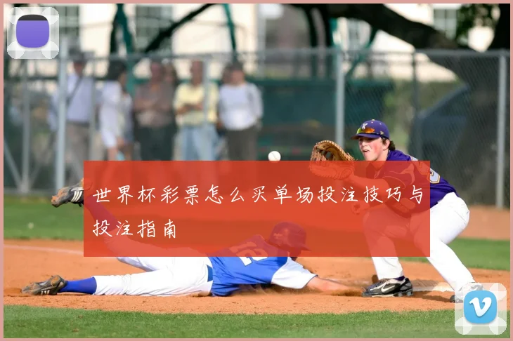 世界杯彩票怎么买单场投注技巧与投注指南