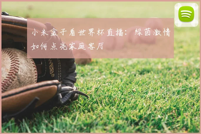 小米盒子看世界杯直播:绿茵激情如何点亮家庭客厅