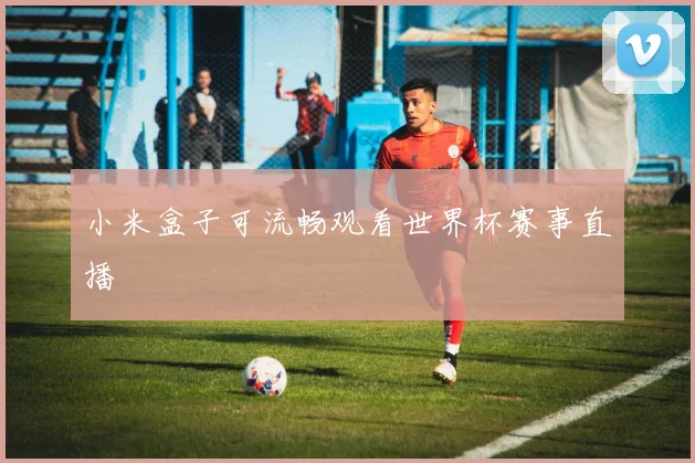小米盒子可流畅观看世界杯赛事直播