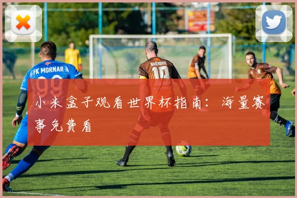 小米盒子观看世界杯指南:海量赛事免费看